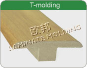 ͼT-MOLDING ɷŴ