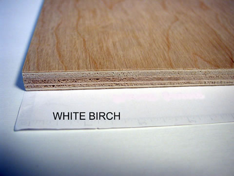 WHITE BIRCHϸ