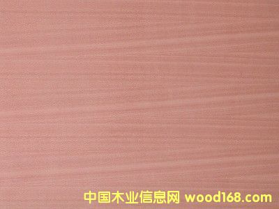 Sapele Plywoodϸ