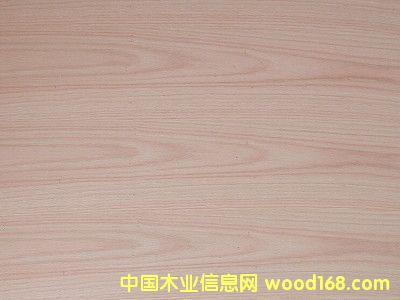 Red Oak Plywood