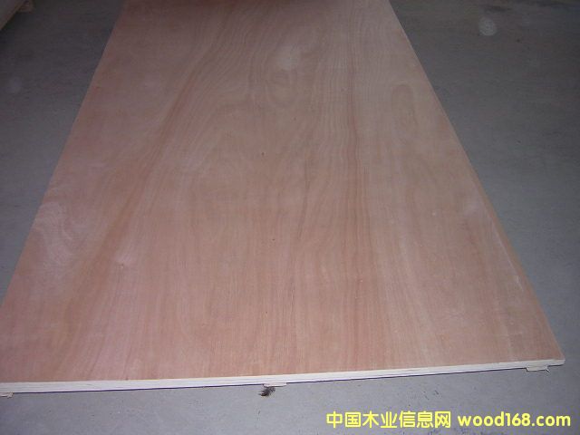 plywoodϸ