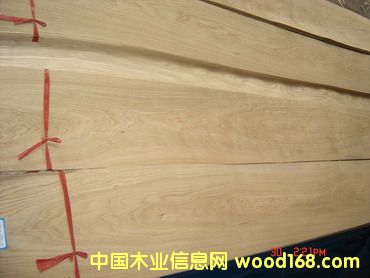 鿴Chinese Oak (C/C)ŴͼƬ