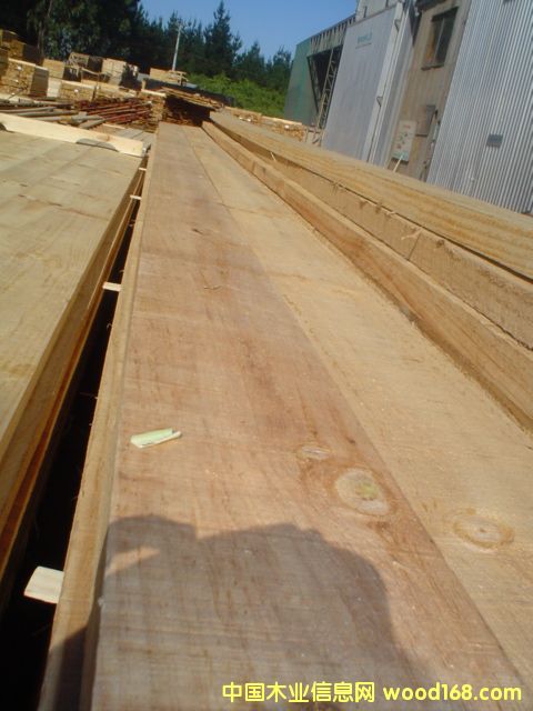 鿴chile radiata pine edged roughŴͼƬ