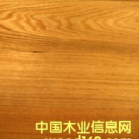 鿴laminate flooring3ŴͼƬ