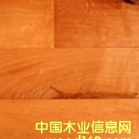 鿴laminate flooring5ŴͼƬ