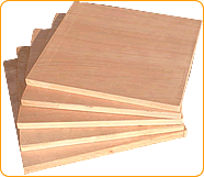 PLYWOODϸ