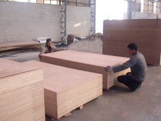 plywood