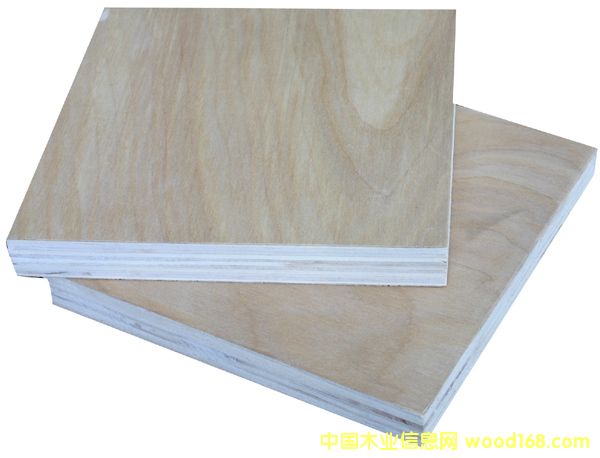 birch plywood