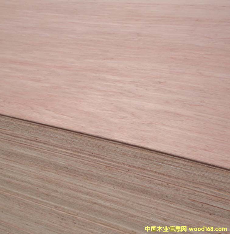 bintangor plywood