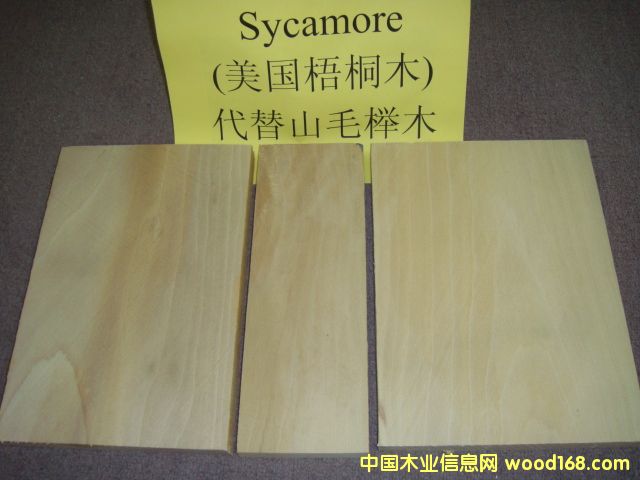 ͩ Sycamore