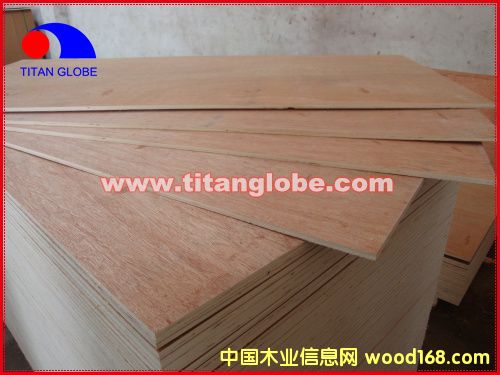 Bingtangor Plywood-Titan Globeϸ