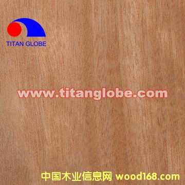 MLH Veneer-Titan Globe