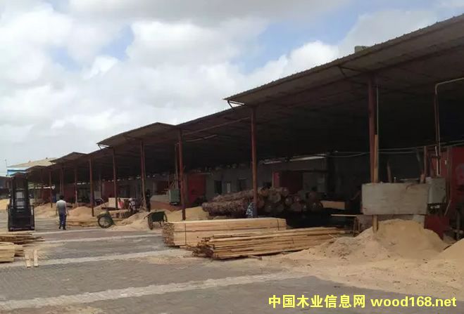 市场观察:木材加工厂开启原木年前囤货节奏
