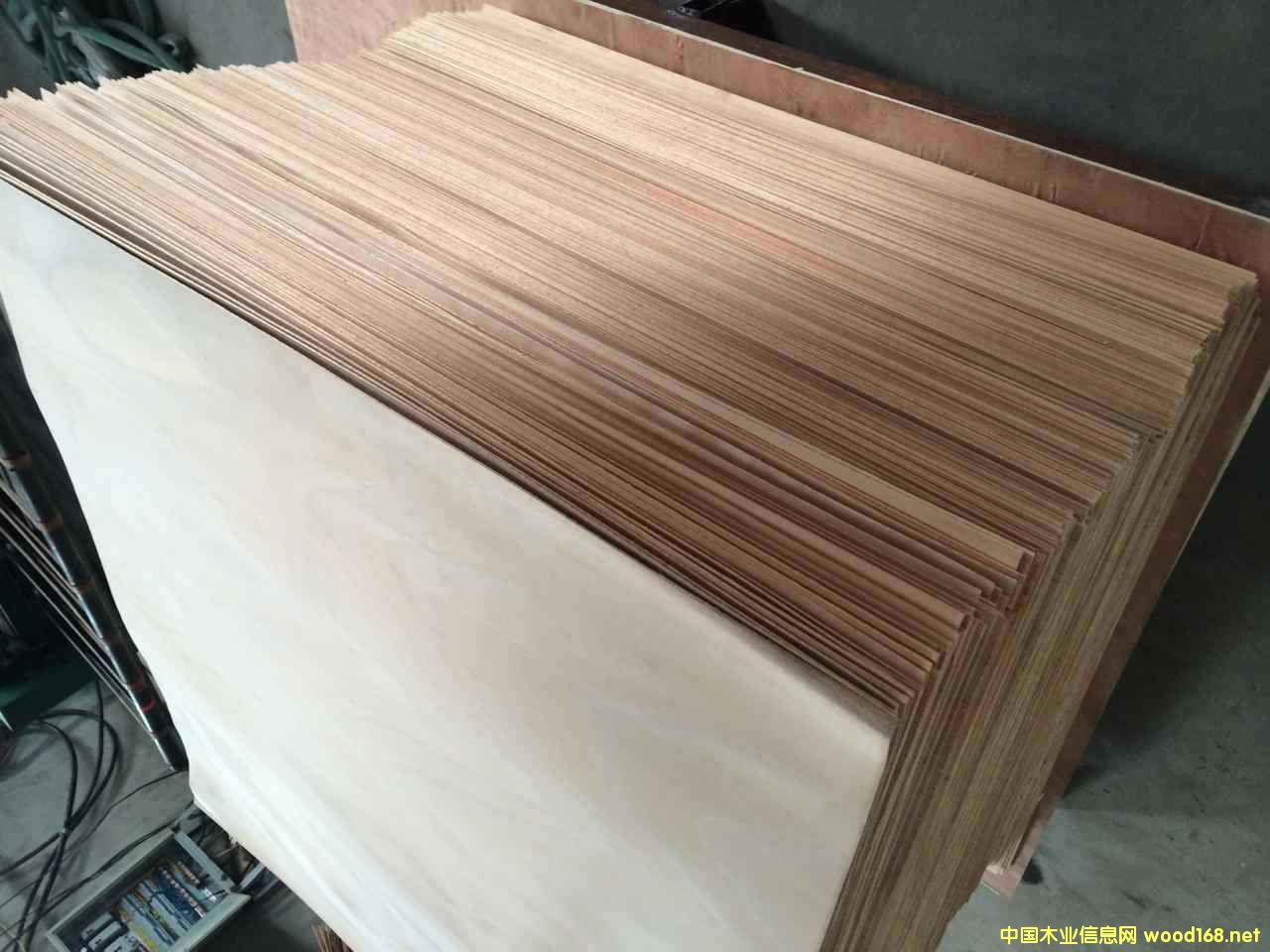 榉木单板榉木面皮的详细介绍