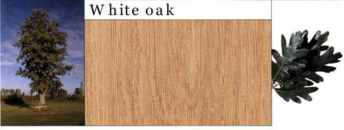 White Oak ϸ