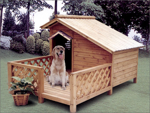 Ȯᣨ)̨ DOG HOUSE WITH BALCϸ